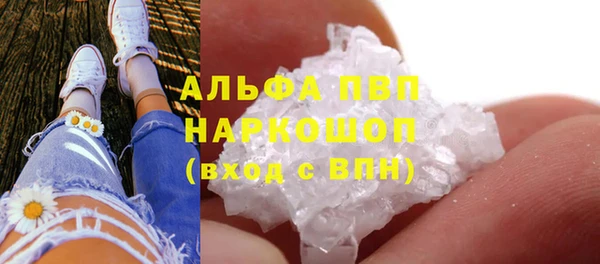 прущие крисы Абаза