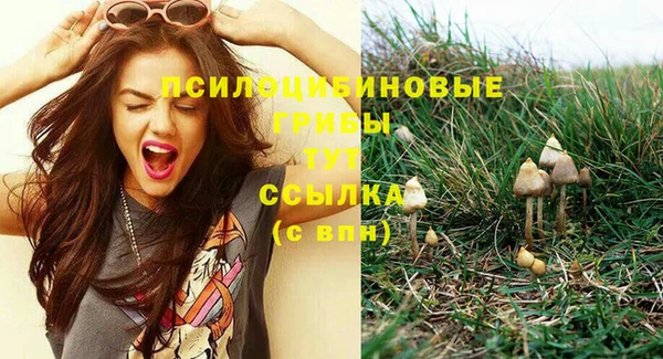 спайс Абинск