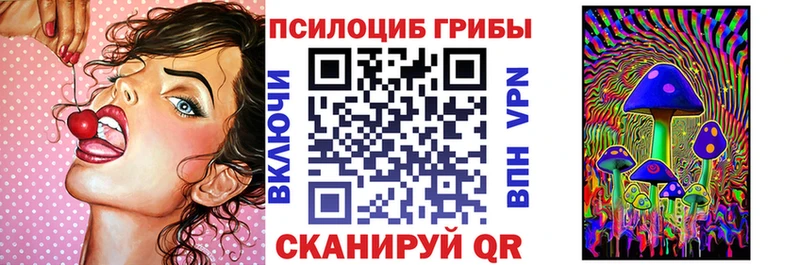 Псилоцибиновые грибы мухоморы  цены   блэк спрут рабочий сайт  Барыш 